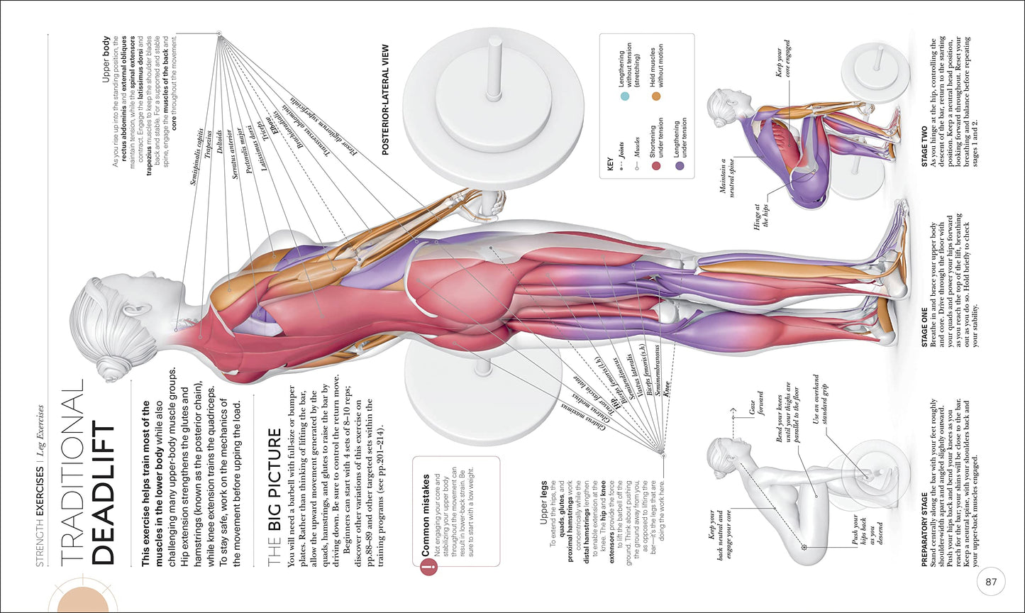 Science of Strength Training: Understand the anatomy and phy