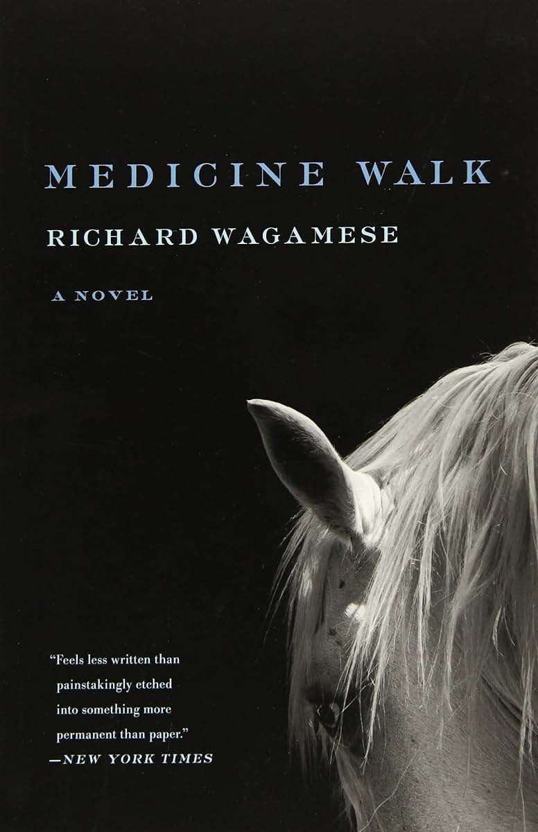 Medicine Walk by Wagamese, Richard