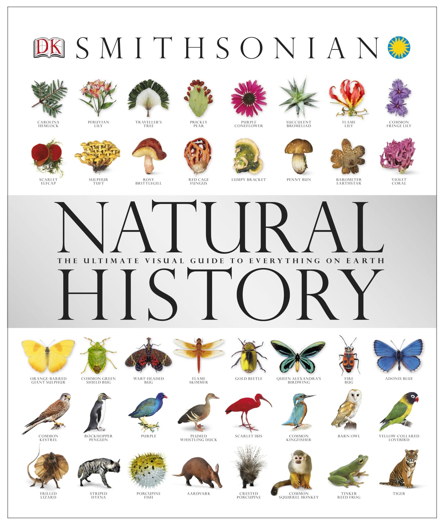 Natural History: The Ultimate Visual Guide to Everything on Earth