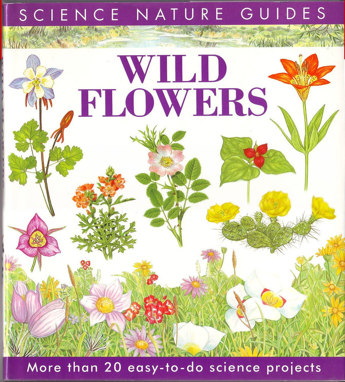 Wild Flowers of North America (Science Nature Guides)