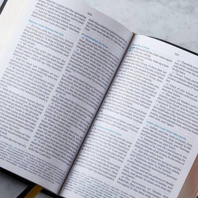 KJV Holy Bible: Large Print Verse-by-Verse with Cross References, Brown Genuine Leather, Comfort Print: King James Version (Maclaren Series)