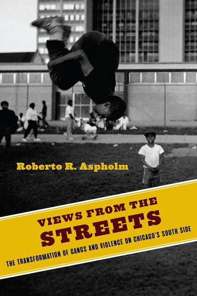 Views from the Streets: The Transformation of Gangs and Violence on Chicago's South Side (Studies in Transgression)