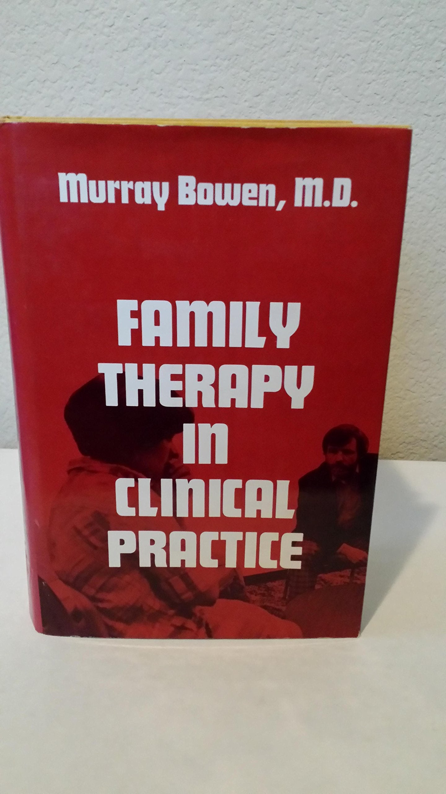 Family Therapy in Clinical Practice