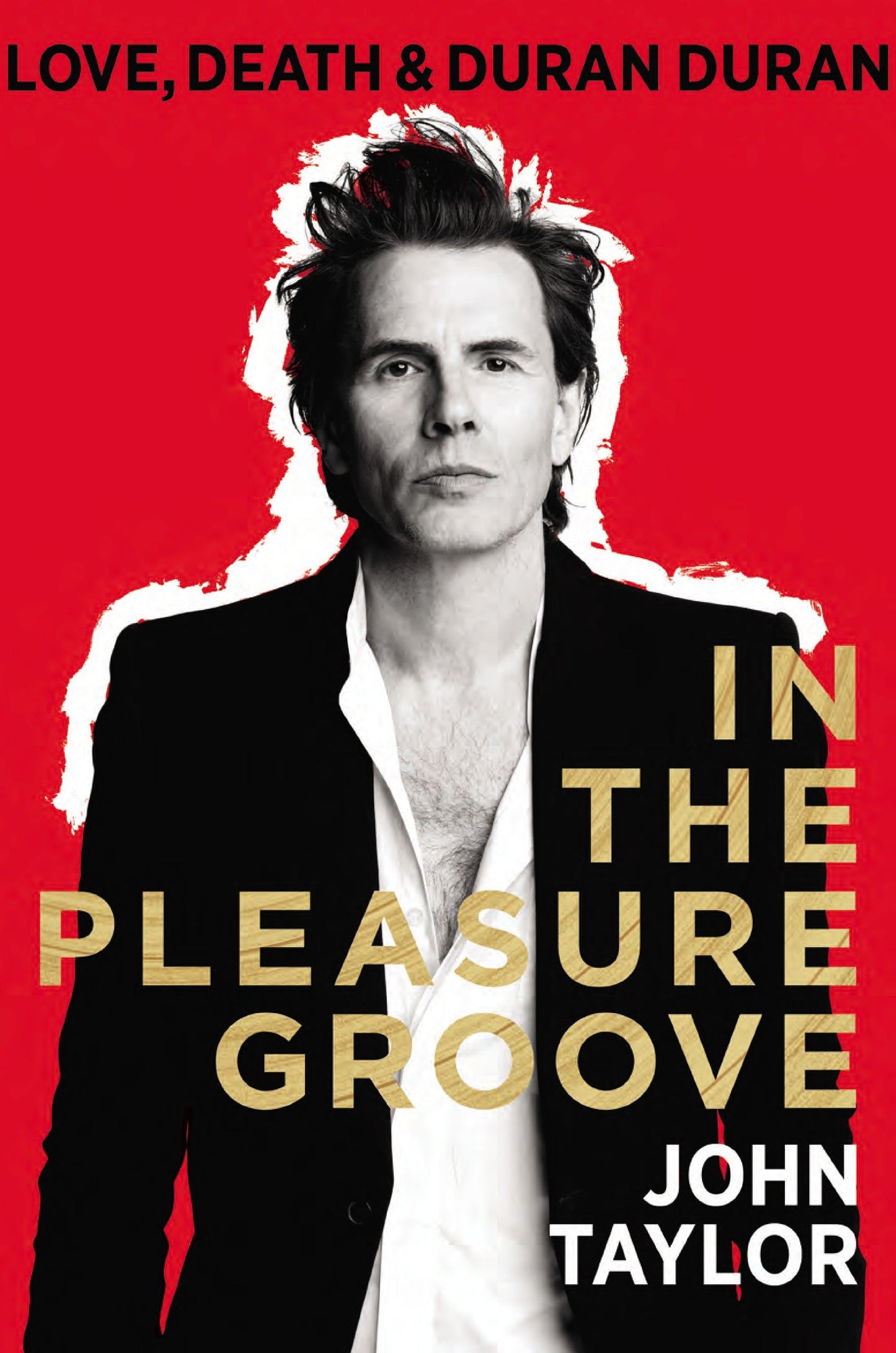 In The Pleasure Groove: Love, Death & Duran Duran by Taylor