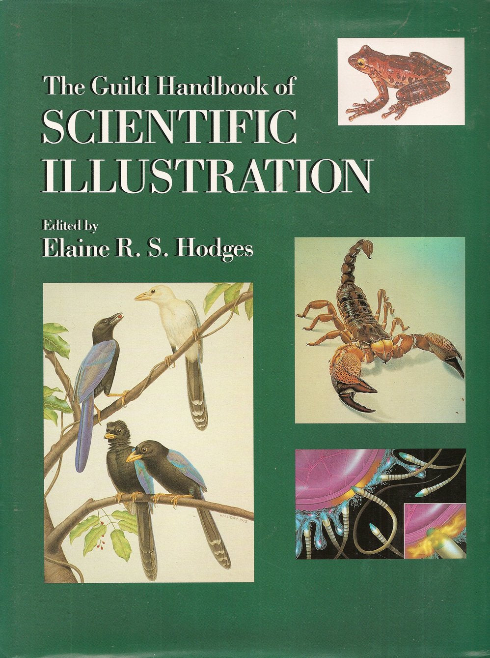 The Guild Handbook of Scientific Illustration by ) Hodges, E