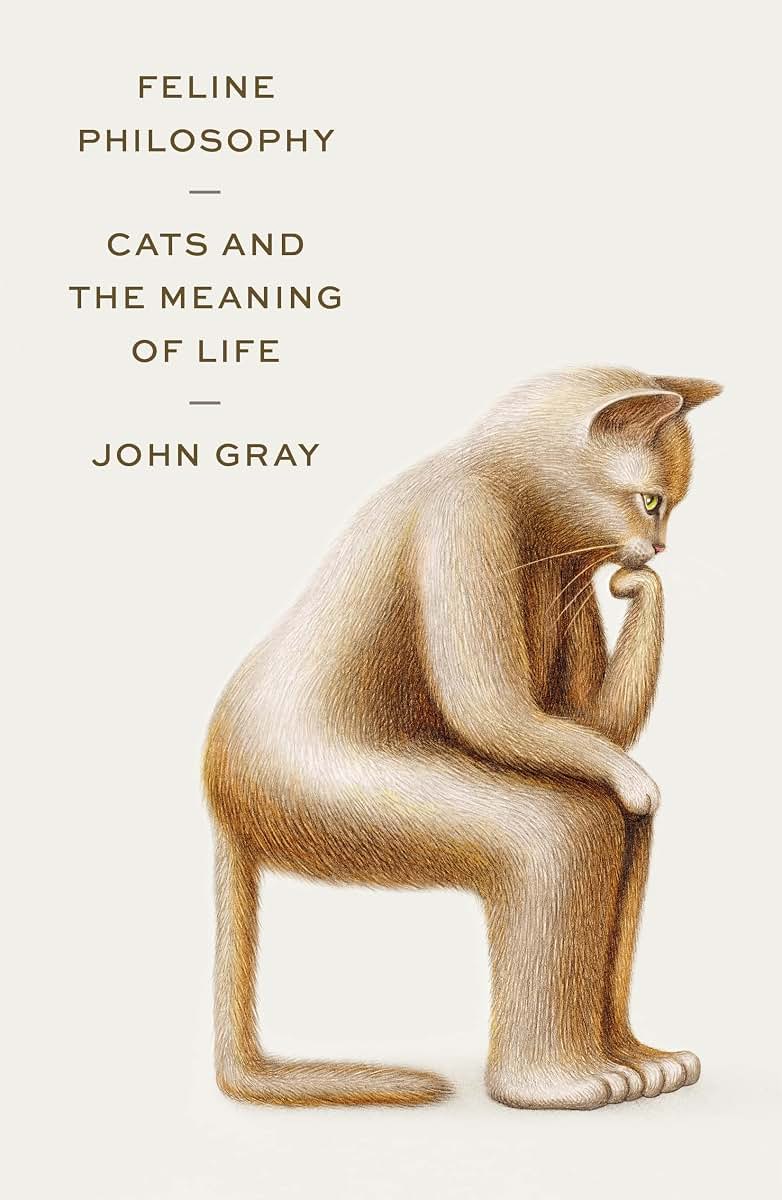 Feline Philosophy: Cats and the Meaning of Life by Gray, Joh