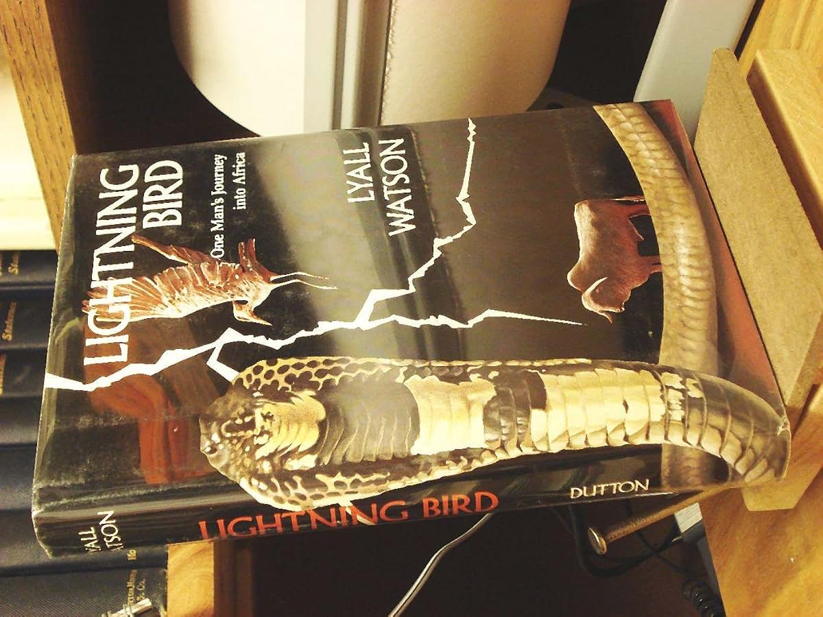 Lightning Bird: One Man's Journey into Africa by Watson, Wil