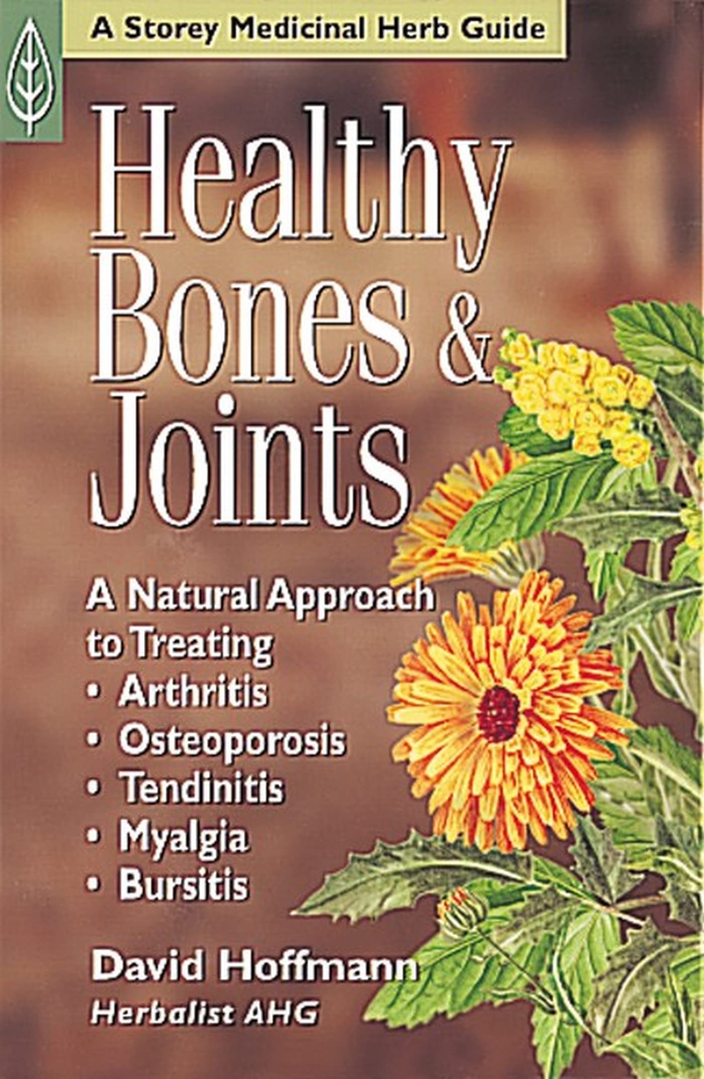 Healthy Bones & Joints: A Natural Approach to Treating Arthr