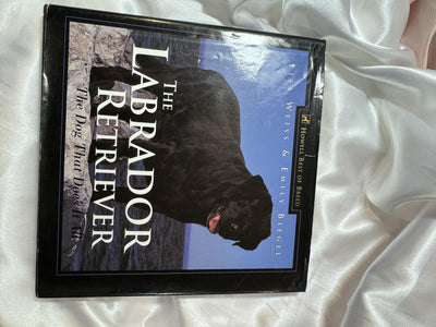 The Labrador Retriever: The Dog That Does It All