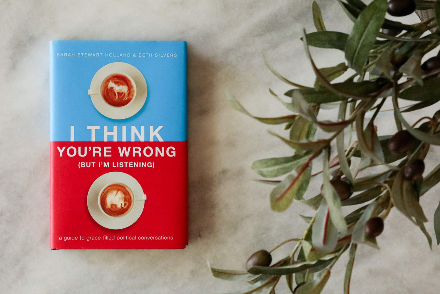 I Think You're Wrong (But I'm Listening): A Guide to Grace-Filled Political Conversations