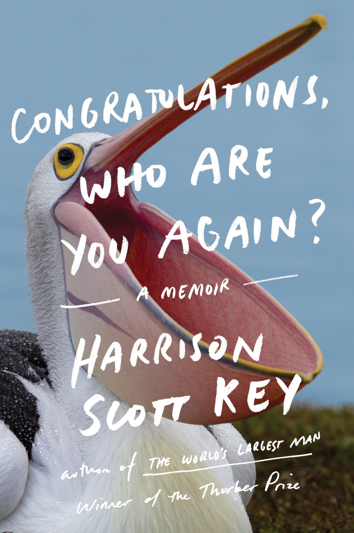 Congratulations, Who Are You Again?: A Memoir - A Southern Writer's Hilarious Journey of Pursuing the American Dream and Greatness