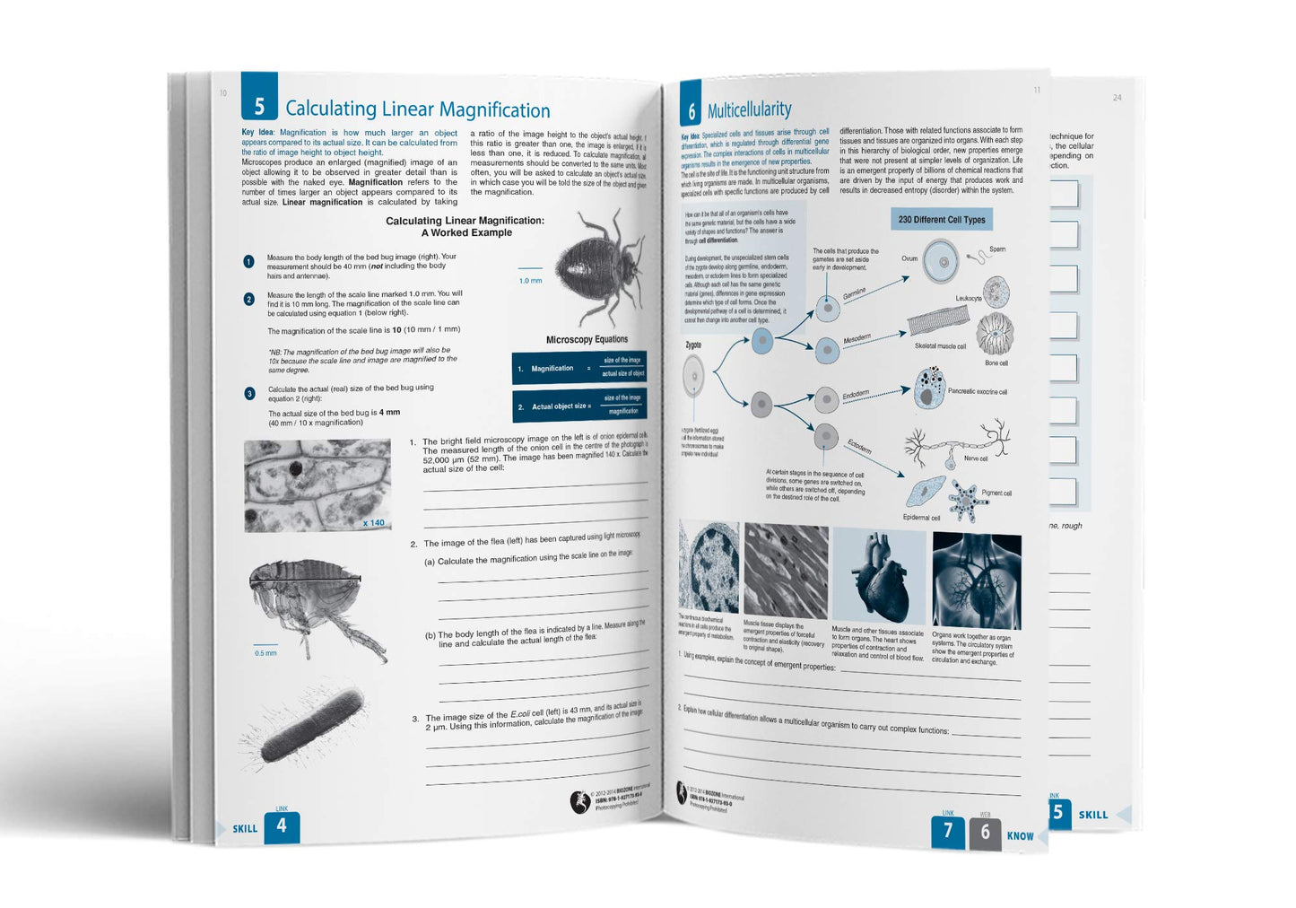 BIOZONE IB Biology (2nd Edition) Student Workbook