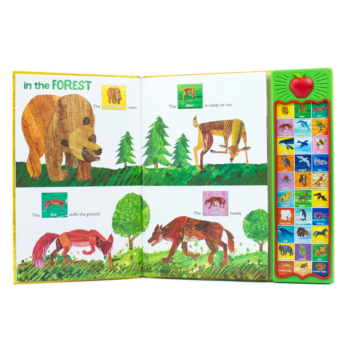 World of Eric Carle, Hear Bear Roar 30-Button Animal Sound Book - Great for First Words - PI Kids