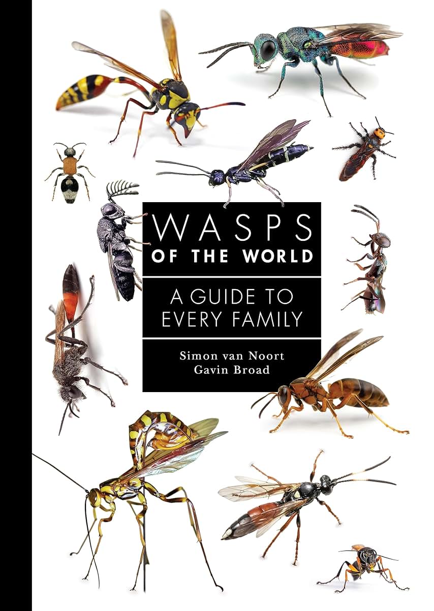 Wasps of the World: A Guide to Every Family (A Guide to Every Family, 8)