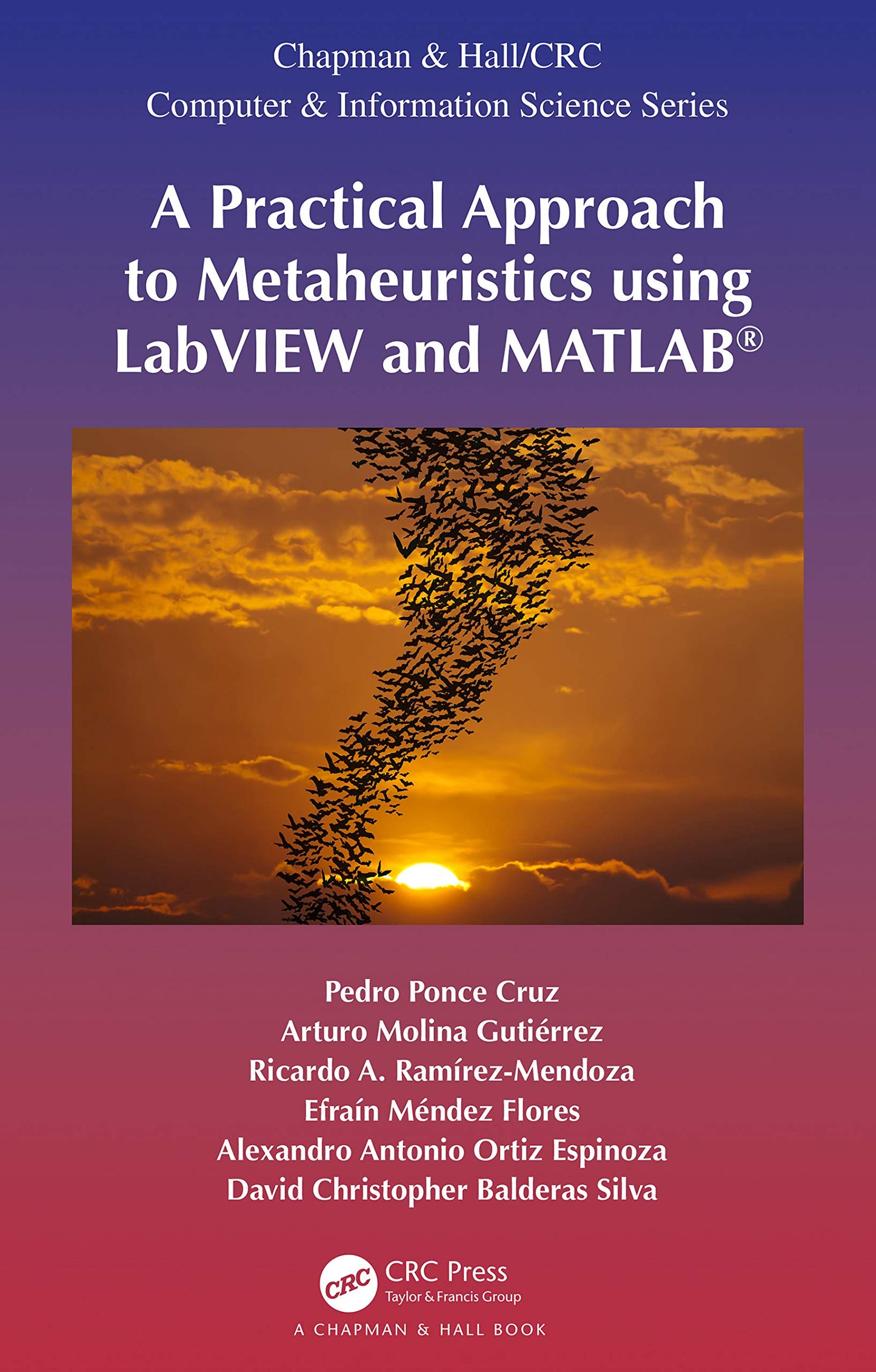 A Practical Approach to Metaheuristics using LabVIEW and MATLAB (Chapman & Hall/CRC Computer and Information Science Series)