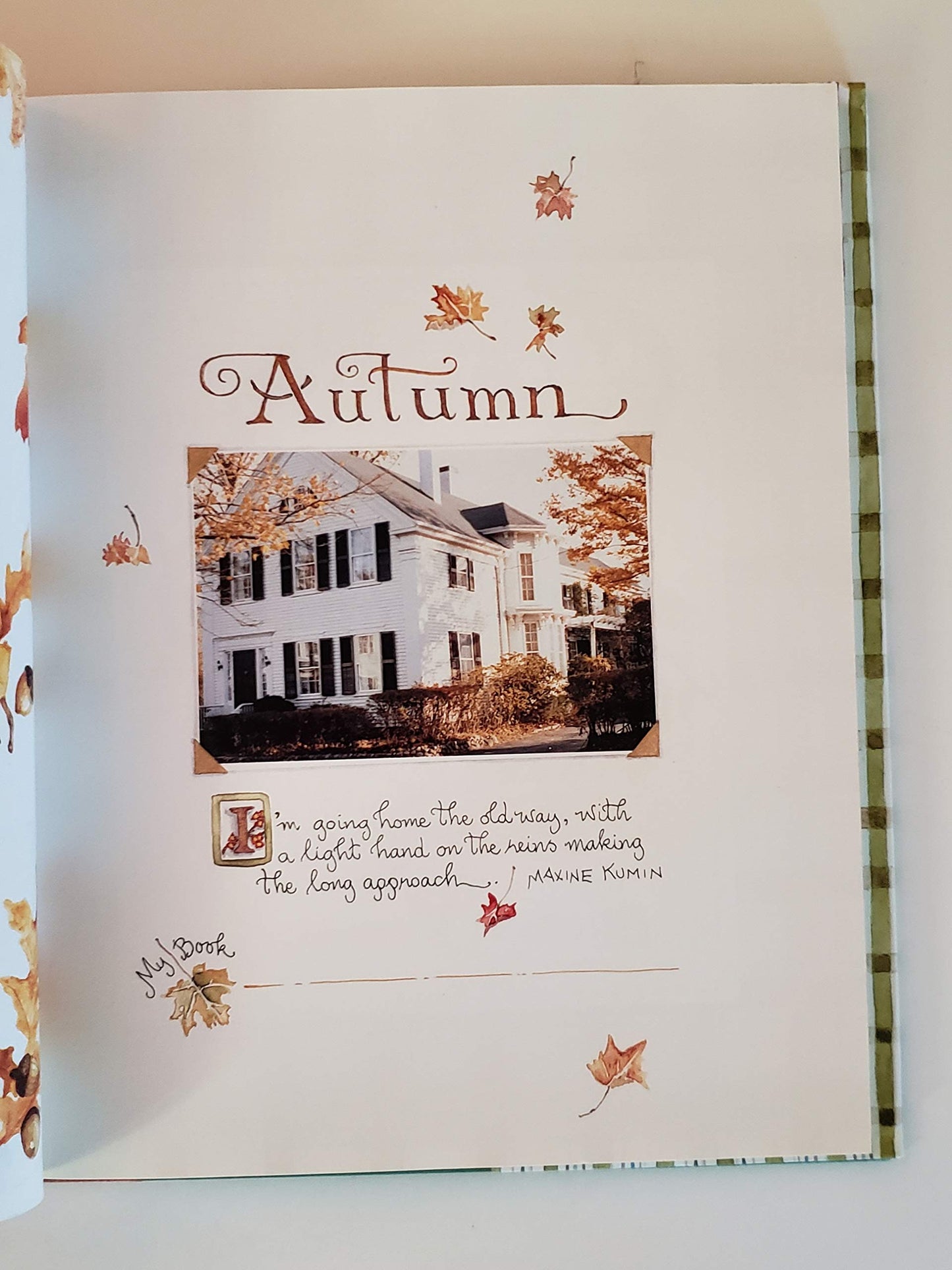 Autumn: From the Heart of the Home by Susan Branch