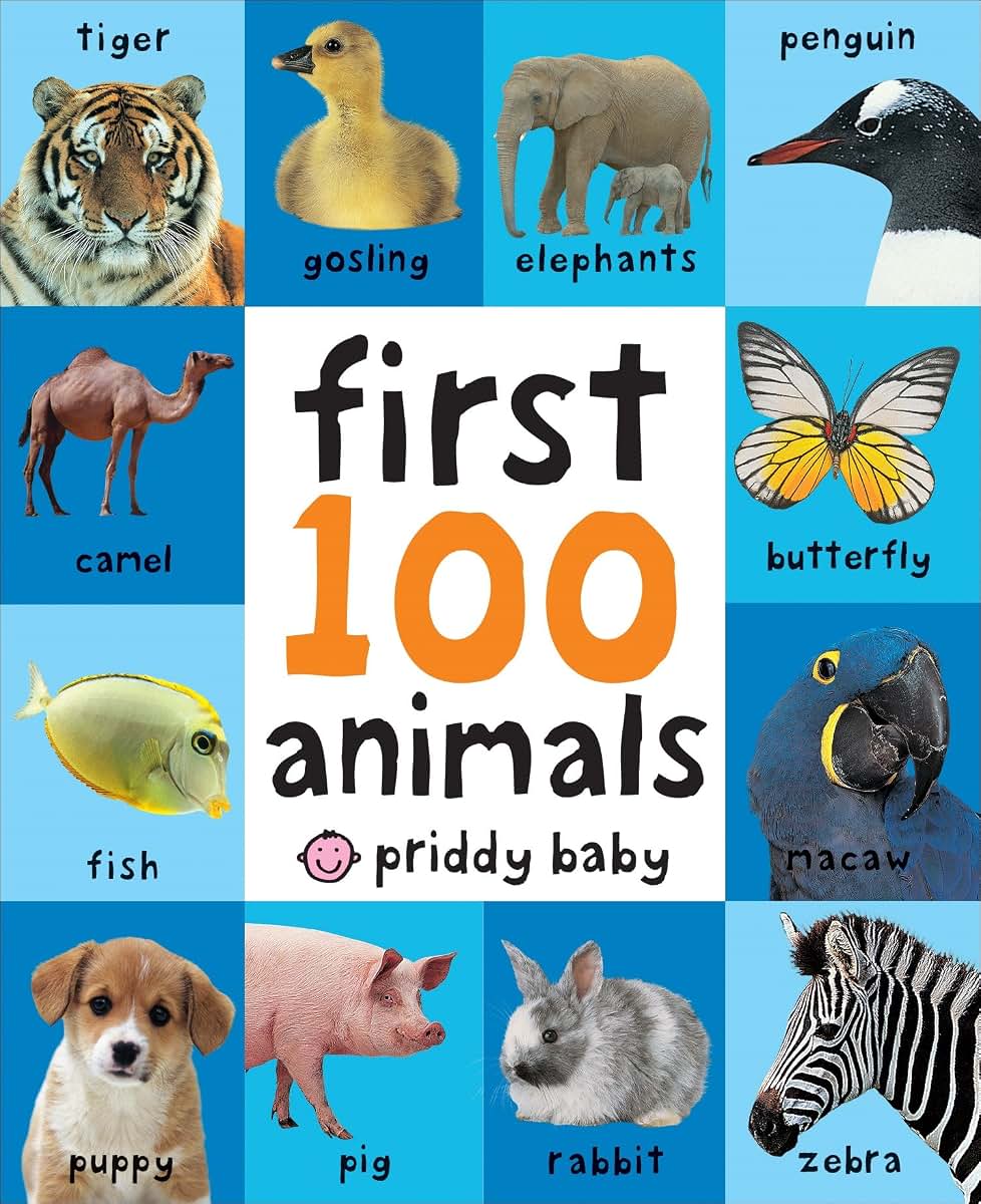 First 100 Big Board: Animals: In the bestselling First 100 series