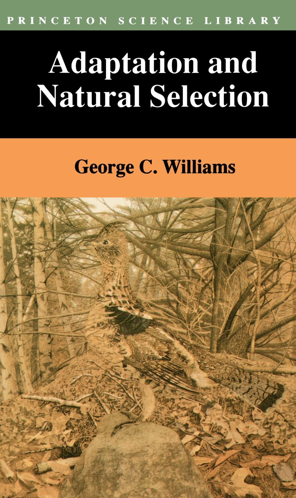 Adaptation and Natural Selection by Williams, George Christo