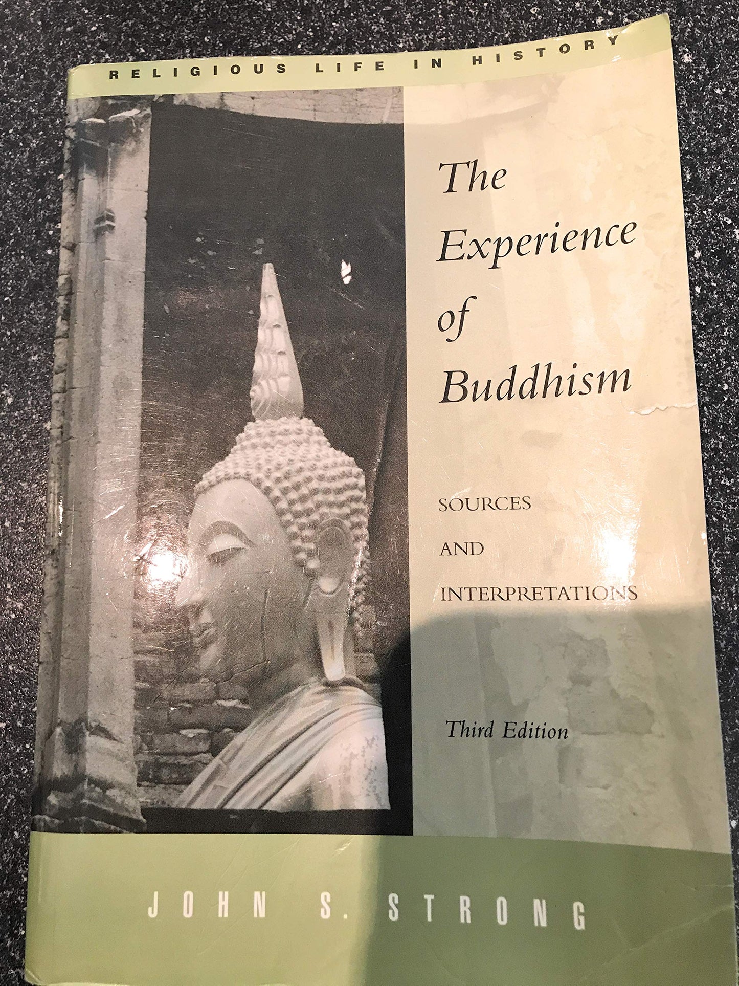 The Experience of Buddhism: Sources and Interpretations (Religious Life in History)
