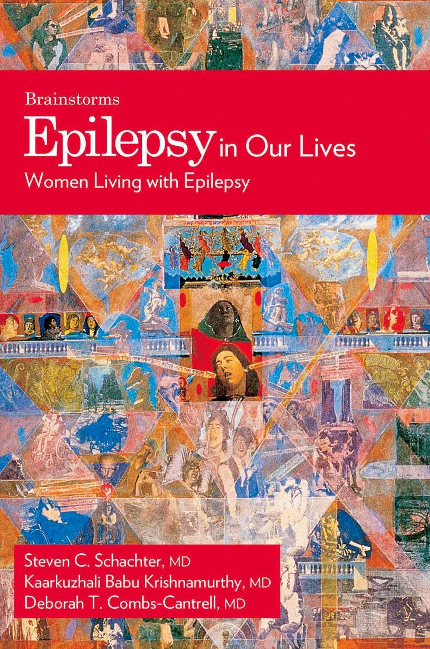 Epilepsy In Our Lives: Women Living with Epilepsy (The Brainstorm Series)