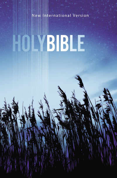 NIV, Outreach Bible, Paperback, Blue