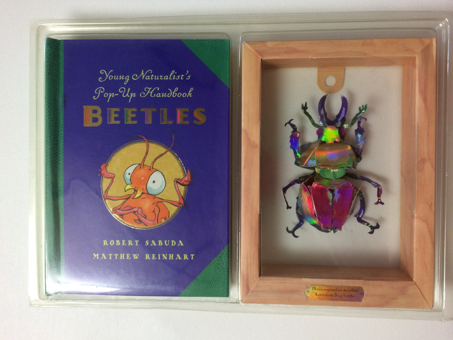 Young Naturalist's Pop-Up Handbook: Beetles - Book #1