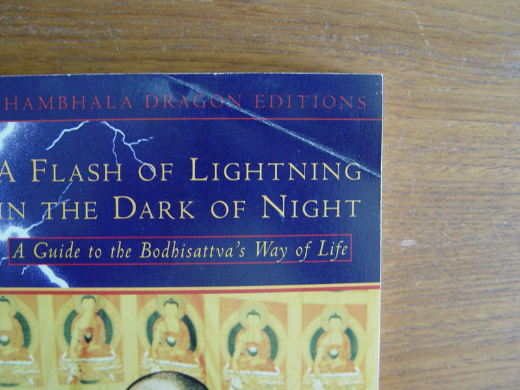 A Flash of Lightning in the Dark of Night: A Guide to the Bodhisattva's Way of Life (Shambhala Dragon Editions) — back cover