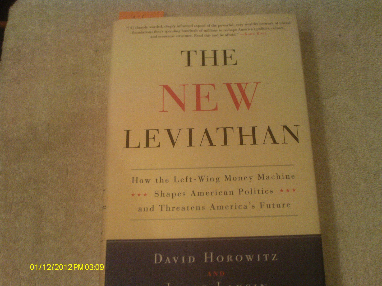 The New Leviathan: How the Left-Wing Money-Machine Shapes American Politics and Threatens America's Future