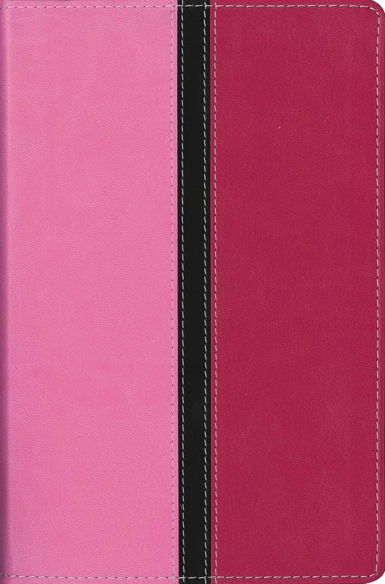 NIV, Busy Mom's Bible, Leathersoft, Pink, Red Letter Edition: Daily Inspiration Even If You Only Have One Minute