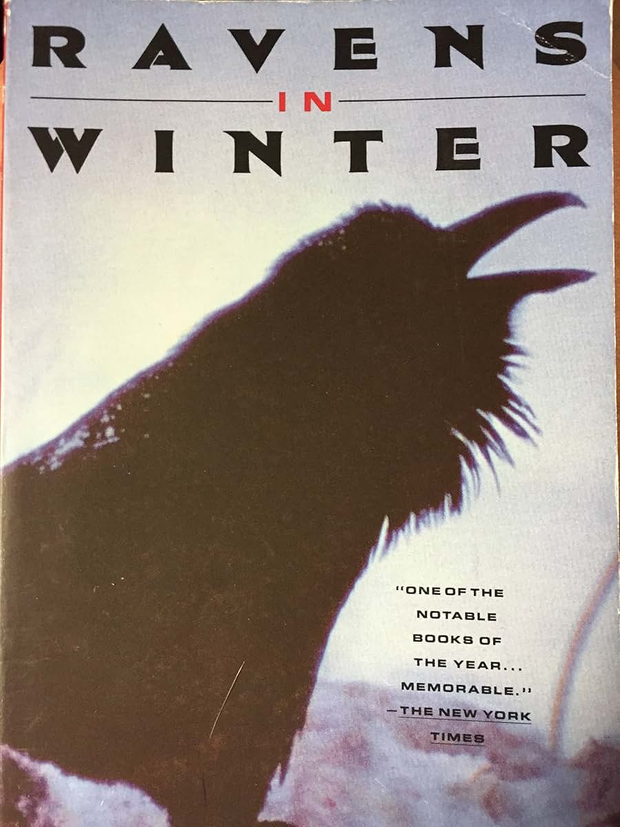 Ravens in Winter