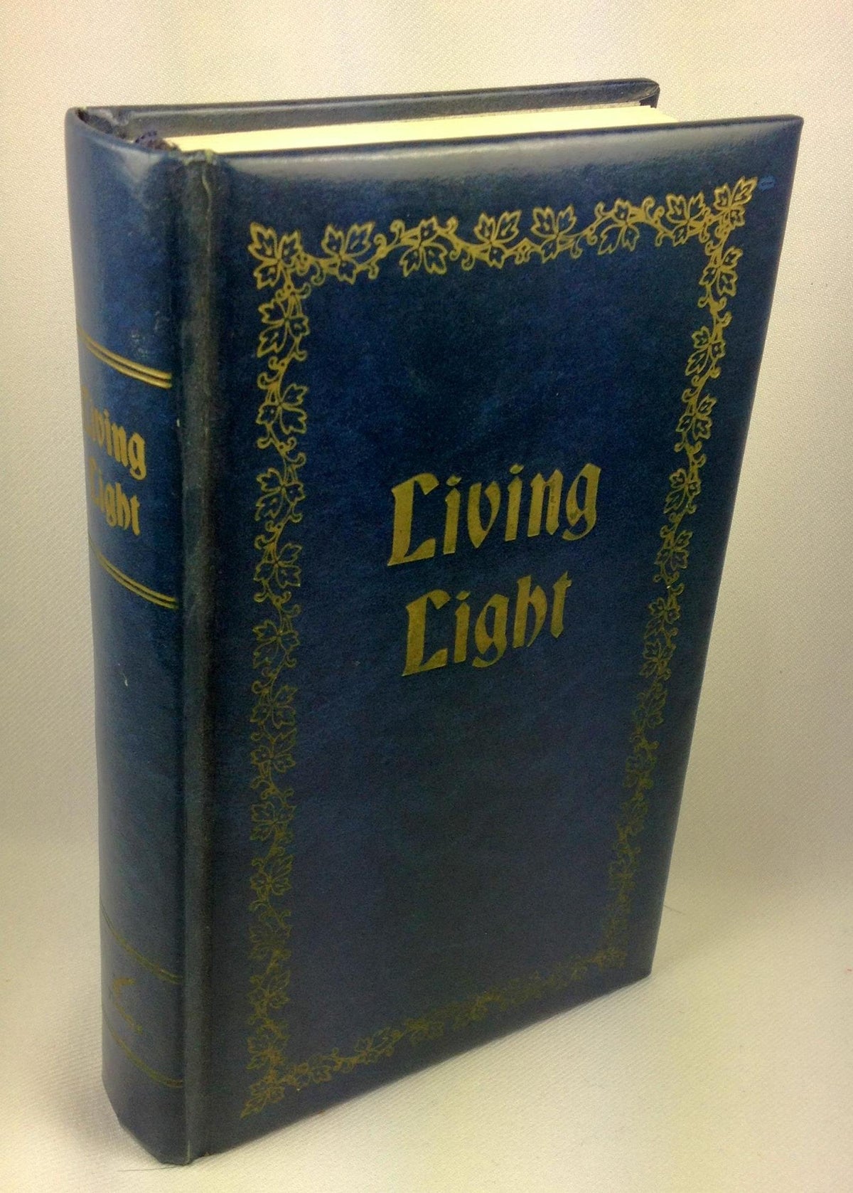 Living Light: Daily Light in Today's Language