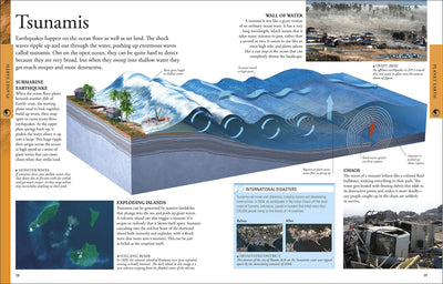 Geography: A Visual Encyclopedia (DK Children's Visual Encyc