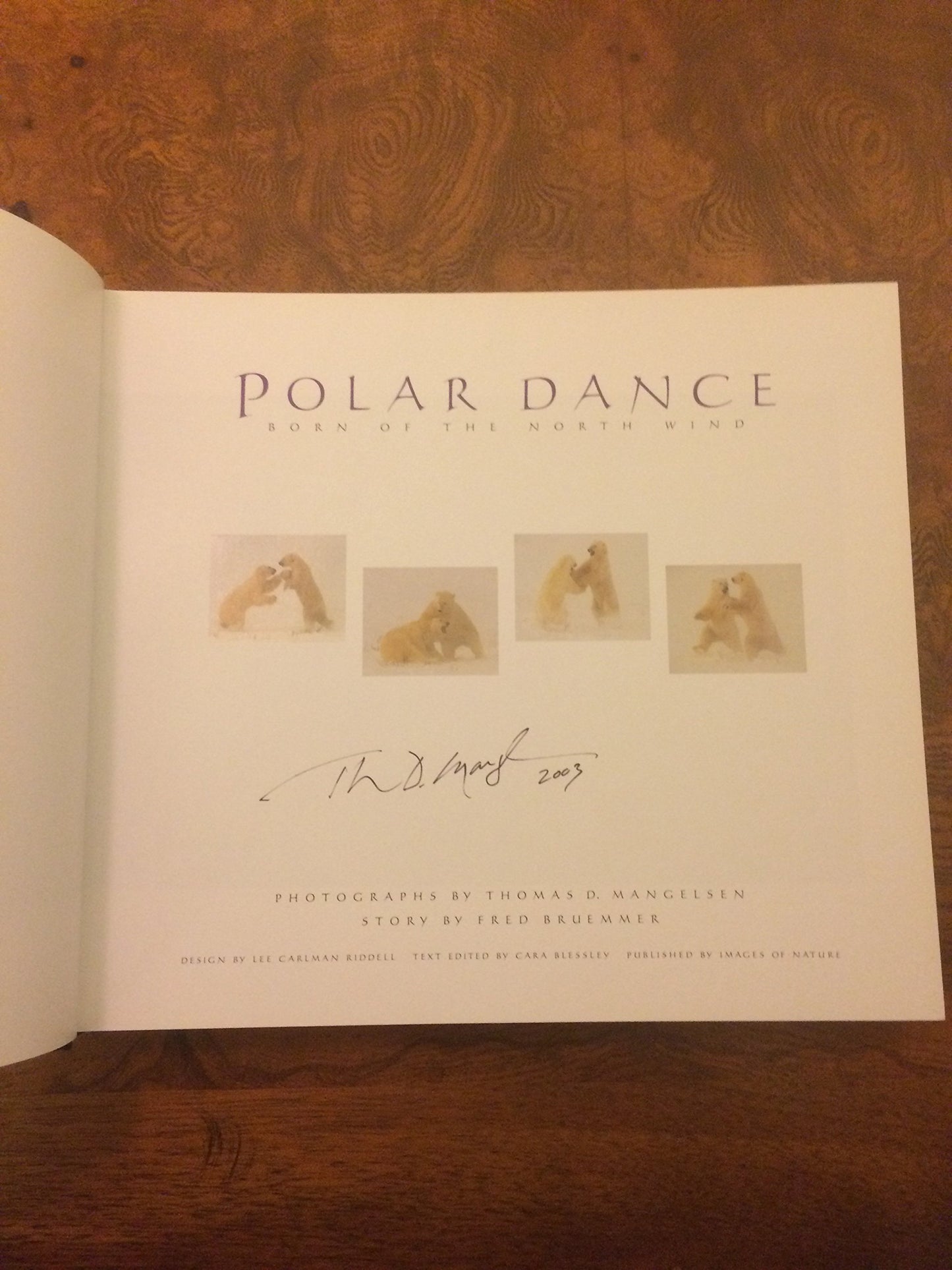 Polar Dance: Born of the North Wind