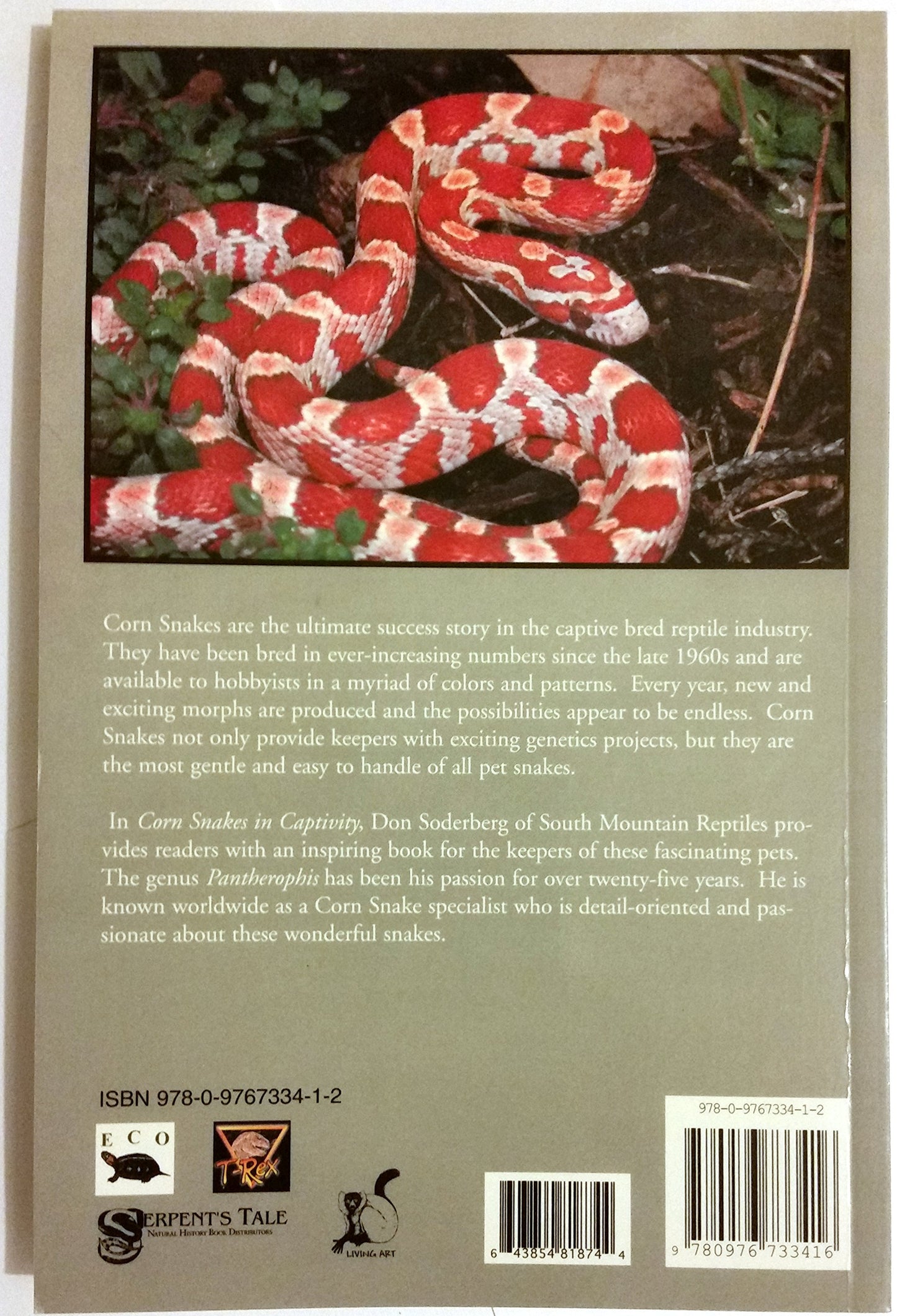 Corn Snakes in Captivity (Professional Breeders Series)