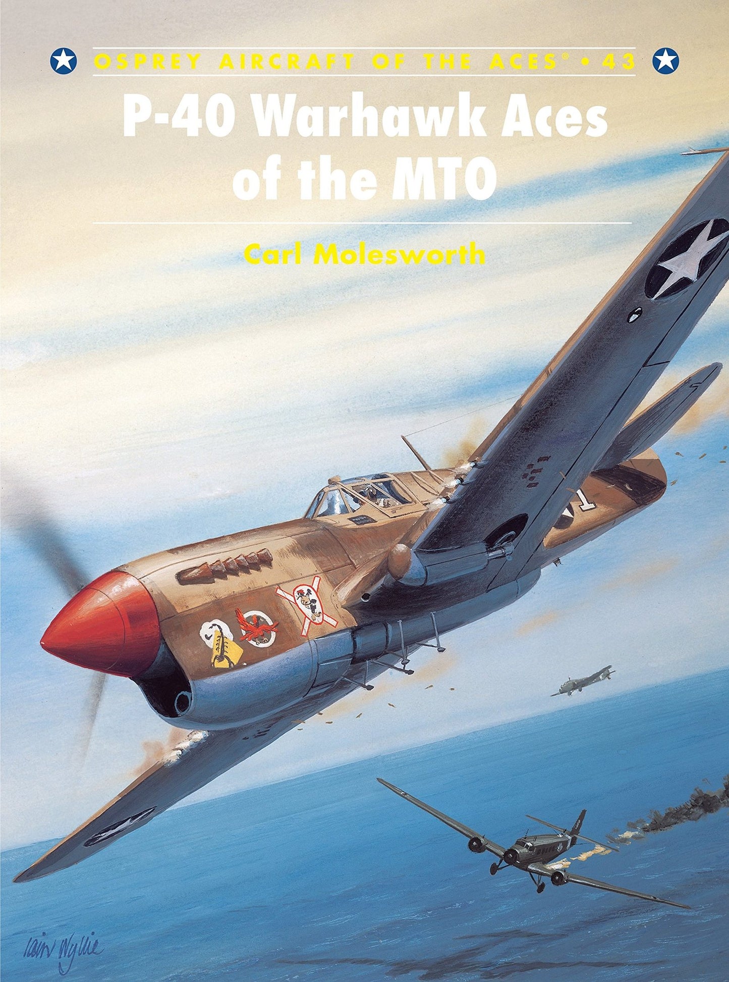 P-40 Warhawk Aces of the MTO (Osprey Aircraft of the Aces No 43) (Aircraft of the Aces, 43)