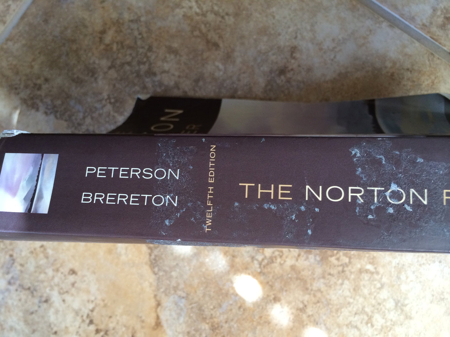 The Norton Reader: An Anthology of Nonfiction
