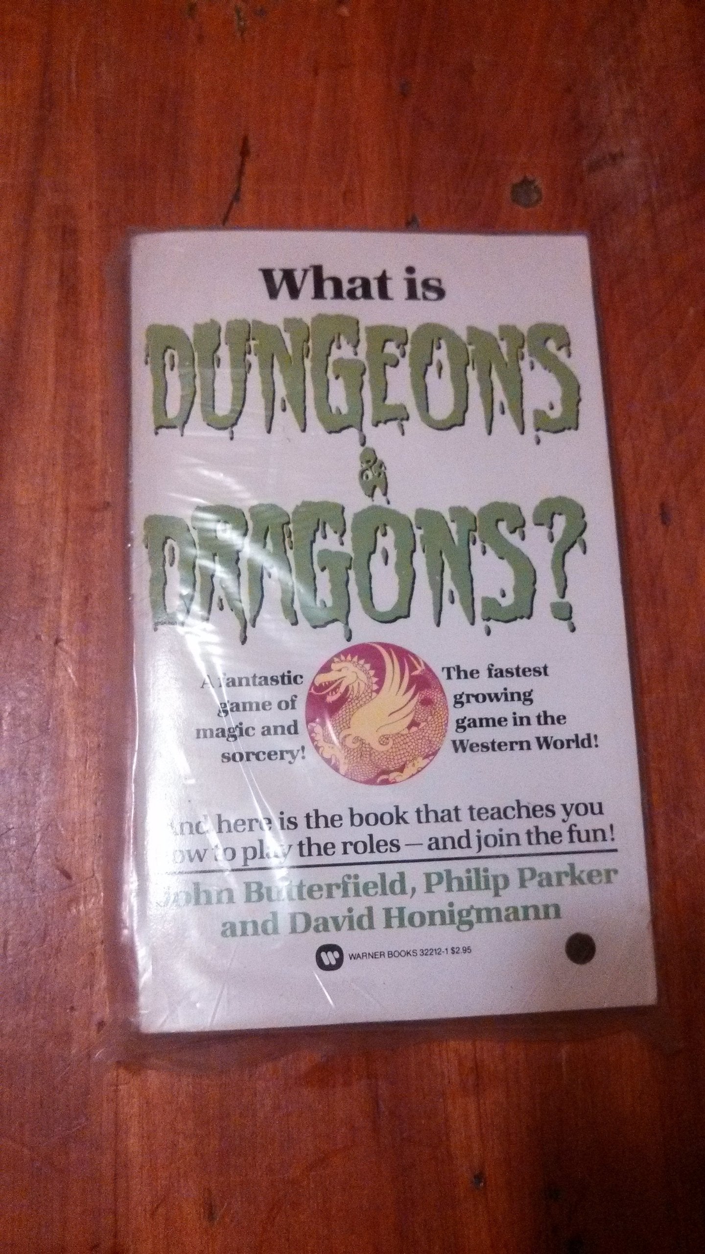 What Is Dungeons and Dragons? by Butterfield, John