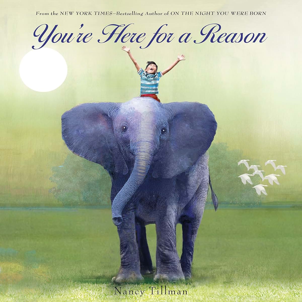 You're Here for a Reason by Tillman, Nancy