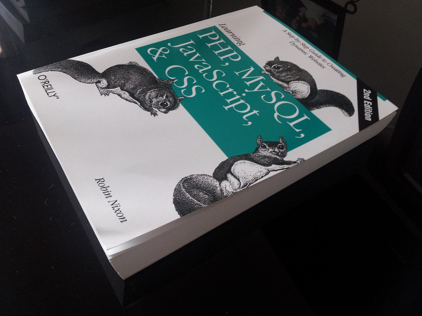 Learning PHP, MySQL, JavaScript, and CSS: A Step-by-Step Guide to Creating Dynamic Websites