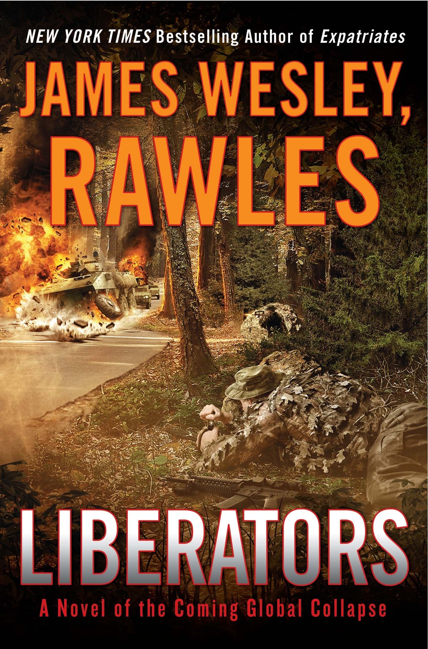Liberators: A Novel of the Coming Global Collapse by Rawles,