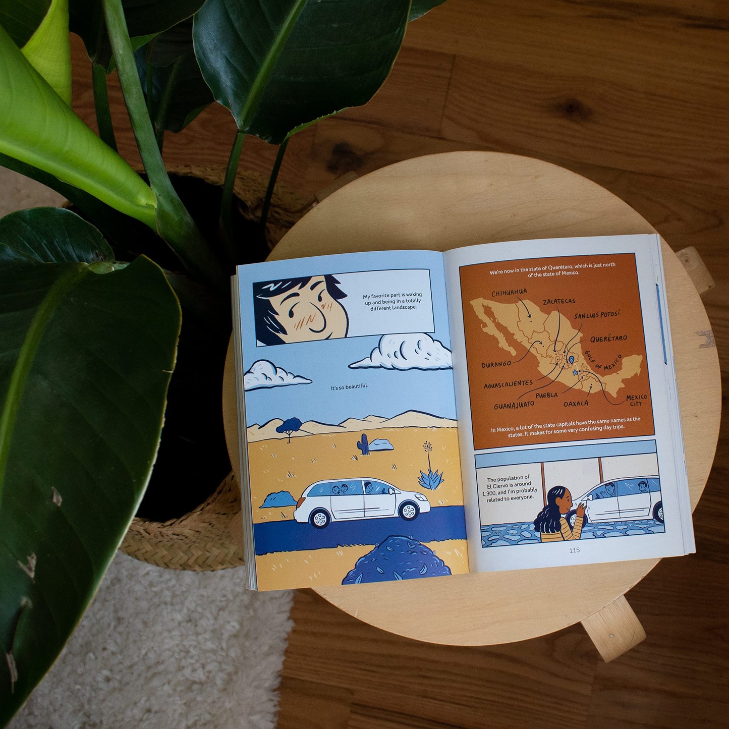 Ay, Mija! (A Graphic Novel): My Bilingual Summer in Mexico (Ay, Mija!)
