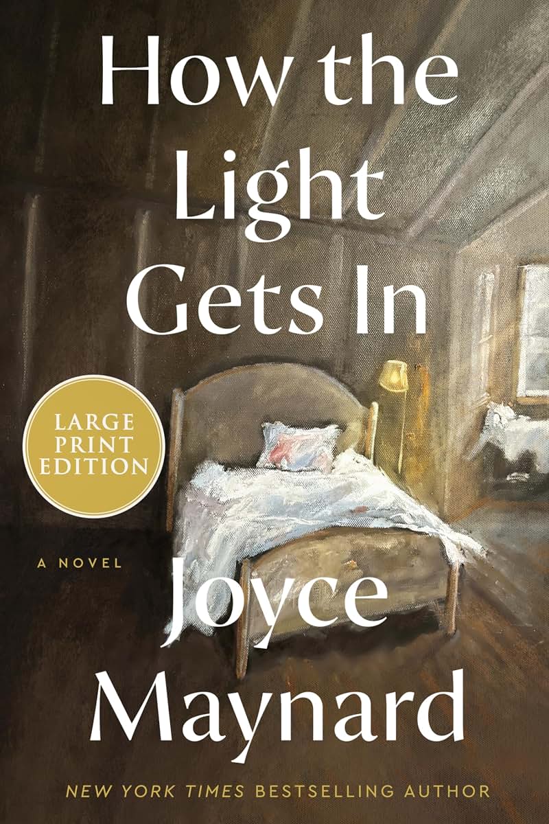 How the Light Gets In: A Novel