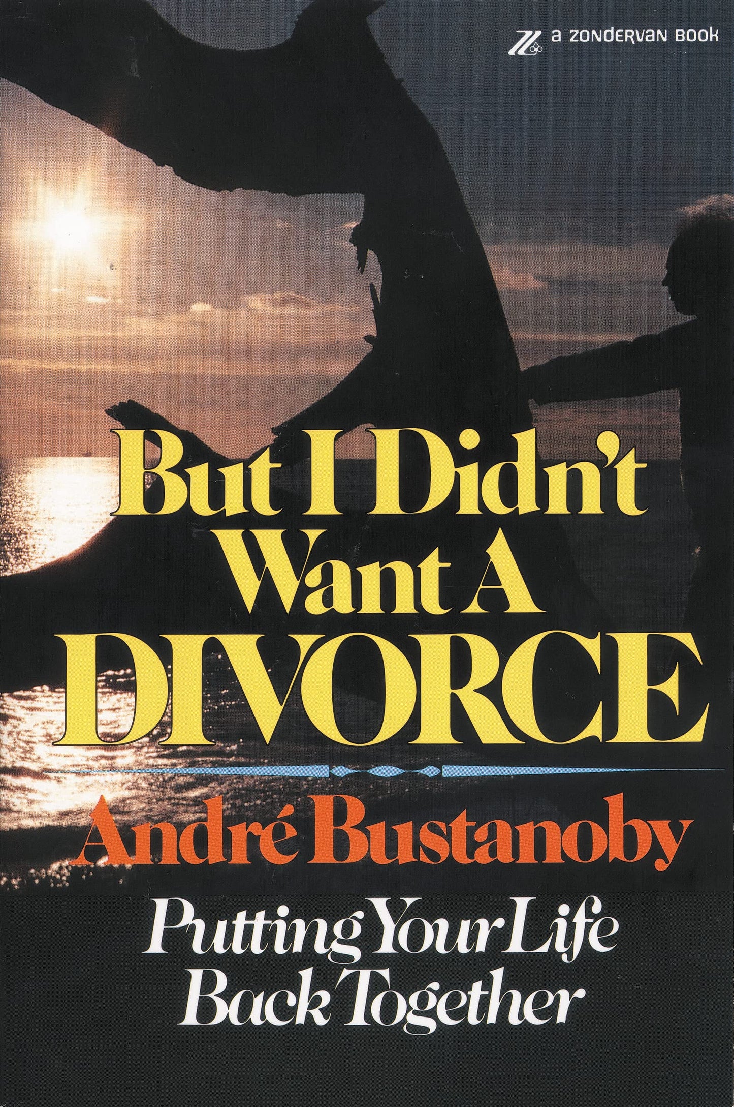 But I Didn't Want a Divorce