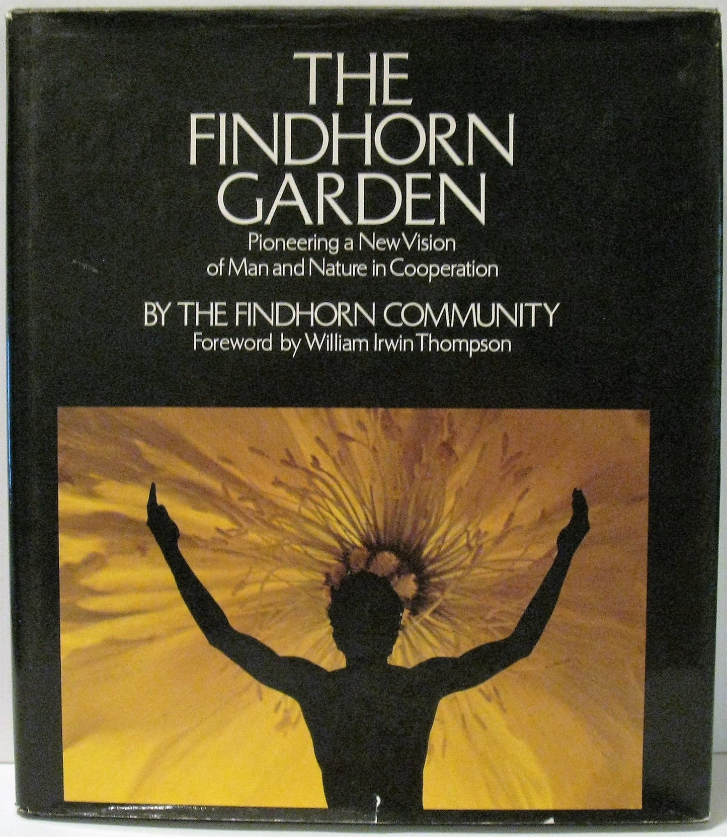 The Findhorn Garden
