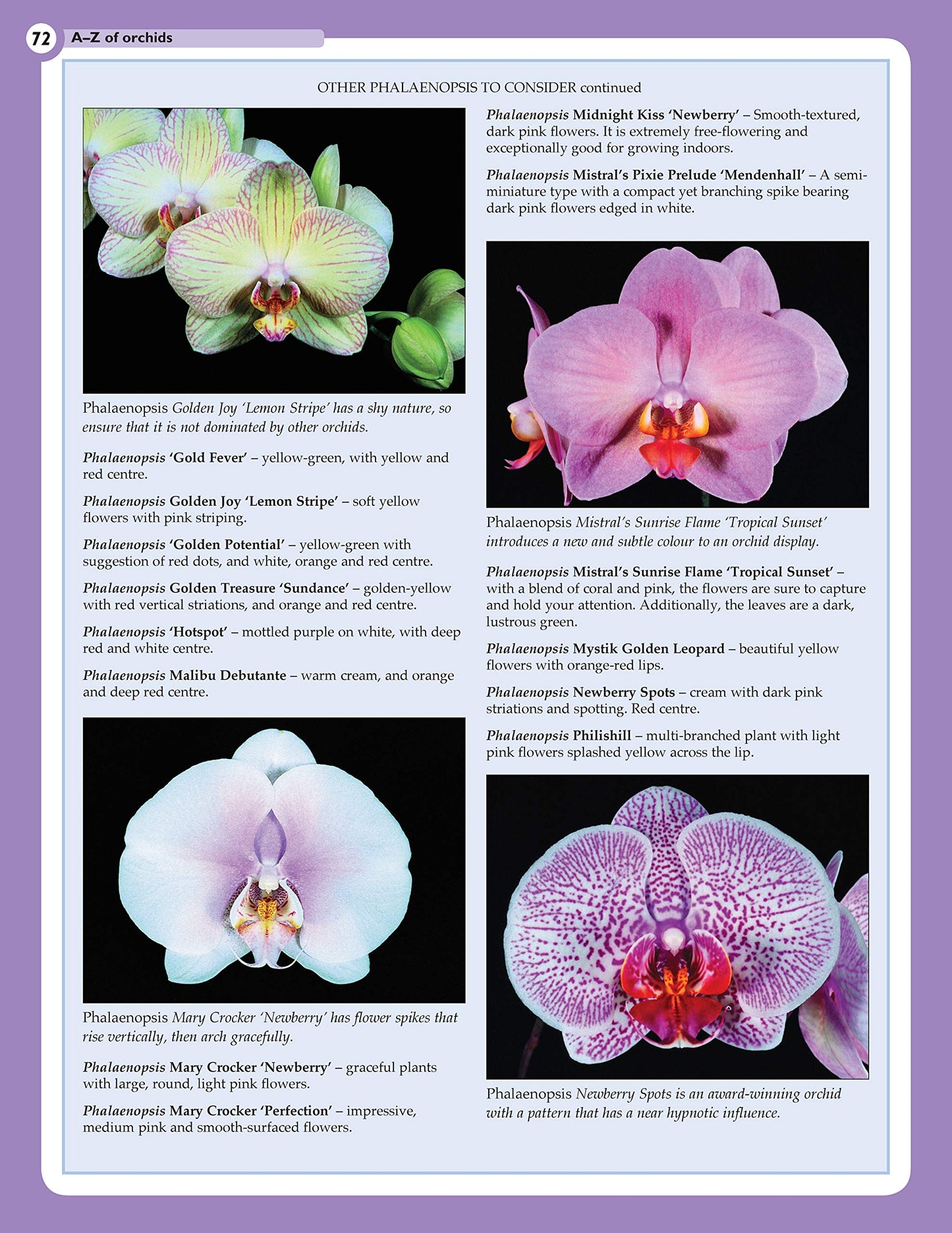 Home Gardener's Orchids: Selecting, Growing, Displaying, Improving and Maintaining Orchids (Creative Homeowner) (Specialist Guide)
