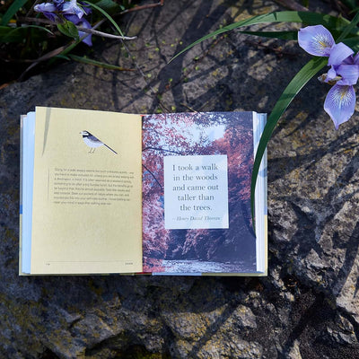 A Little Book of Japanese Contentments: Ikigai, Forest Bathi