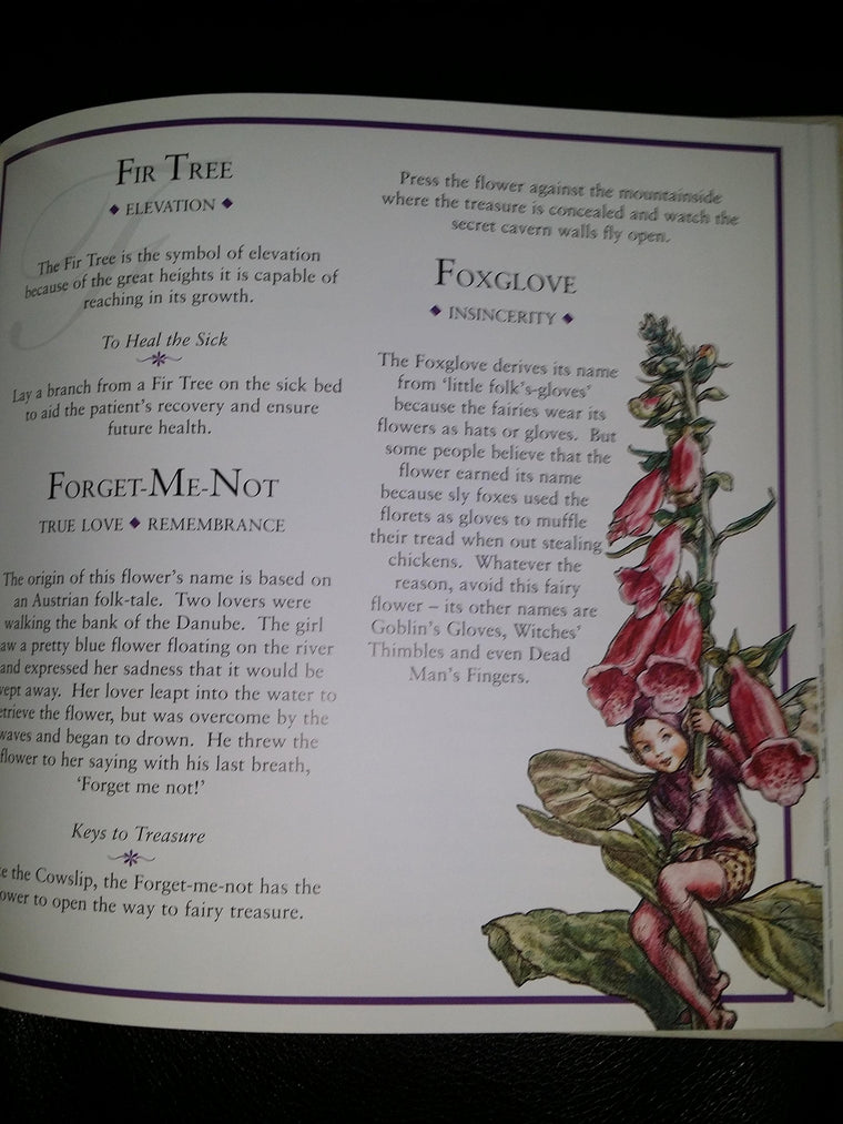 Flower Fairies: The Meaning of Flowers — back cover