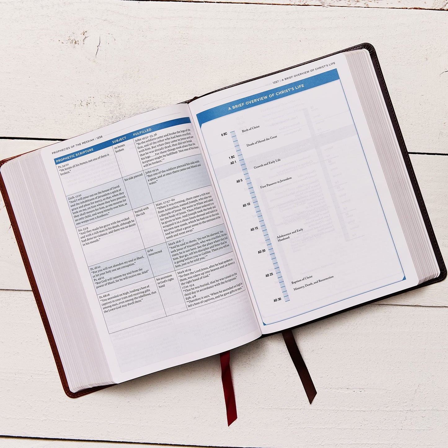 ESV, MacArthur Study Bible, Hardcover: Unleashing God's Truth One Verse at a Time (Holy Bible, English Standard Version)