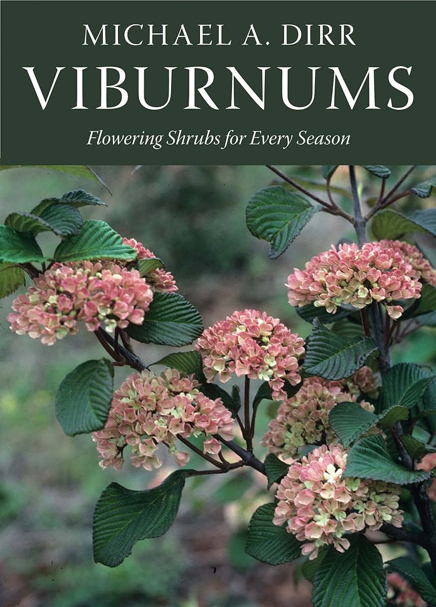 Viburnums: Flowering Shrubs for Every Season by Dirr, Michael