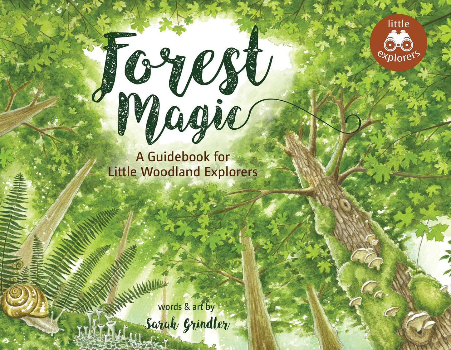 Forest Magic: A Guidebook for Little Woodland Explorers (Little Explorers Series)